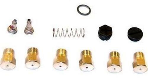 Icp 1160991 Nat Gt Lp Gas Conversion Kit Fit International