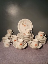 VINTAGE BOOTS DUSTY MEADOW ROSE  ( KOREA 32 PIECE ) - PLATES, BOWLS, CUPS ECT