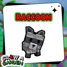 Raccoon - Grow a Garden  Roblox  MORE PETS CHEAP  Trusted  Quickly