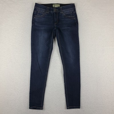 Democracy Jeans Womens 4 Blue AB Technology Skinny Jegging Dark Wash Denim