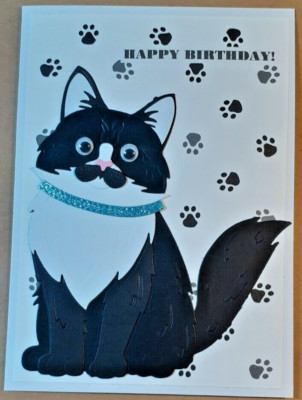 cat funny birthday black cat birthday card