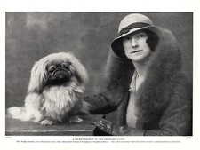 1930s Antique PEKINGESE Dog Print Ouen Sha of Greystones Kennel 6175v