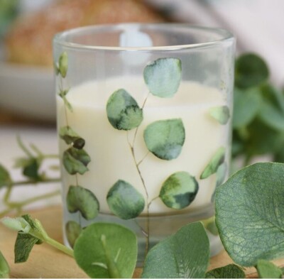 Gisela Graham Eukalyptus & Mint Spa Duftkerze 40h Brenndauer Geschenkbox Vegan