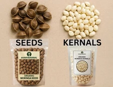 Moringa Seeds and Kernels for Planting | Non-GMO | Fast growing tree seeds