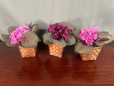ARTIFICIAL SILK AFRICAN VIOLET - Pink  Purple with woven pot - SET of 3 6 in