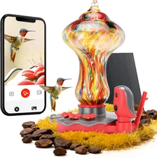 TT Nature Glass Smart Hummingbird Feeder with Camera Solar Powered 2K- AI Identi