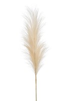 Artplants KüNstliche Pampasgras Rispe Amatsia, Creme, 115Cm