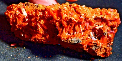 SUPERB CROCOITE, 6.5 X 5 X 3.5 CM, ADELAIDE MINE, DUNDAS, TASMANIA, AUSTRALIA - Picture 3 of 3