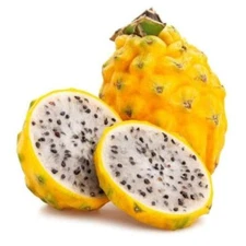 1 Pack 200 Yellow Pitaya Seeds Dragon Fruit Seed Organic Fruit Heirloom