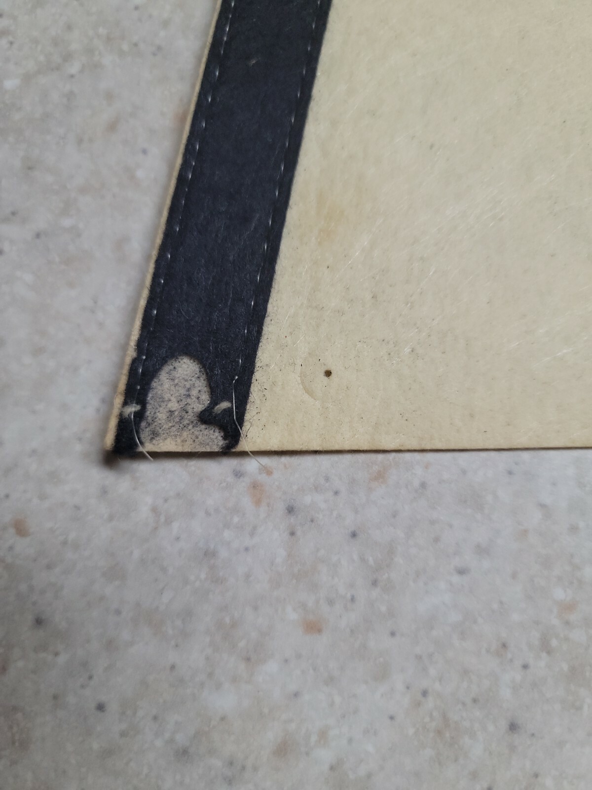 Picture 6 of 6