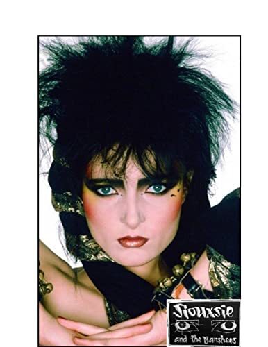 Siouxsie and the Banshees: The Untold Story by S. Severin