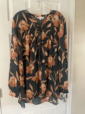 DR2 Women Sz 2XL Beautiful Green floral Blouse V Neck Long Sleeve  ￼Blouse