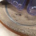 Picture 3 of 17