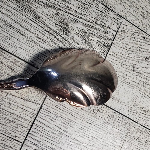 1881 ROGERS c1967 BAROQUE ROSE SILVERPLATED SUGAR SHELL SPOON - Picture 4 of 6