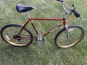 Schwinn Sidewinder | eBay