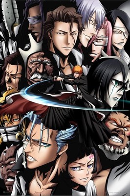 Bleach Anime Group Merchandise Merch Ichigo Swords Art Print Poster 24x36