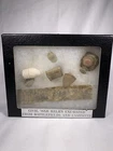 Civil War Bullets & Relics Excavated from South Battlefields and Campsites