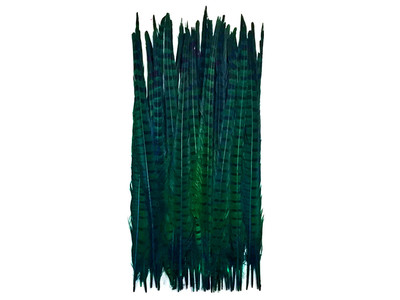 50 Pieces- 18-22'' Peacock Green Dyed Natural Long Ringneck Pheasant Tail Feather