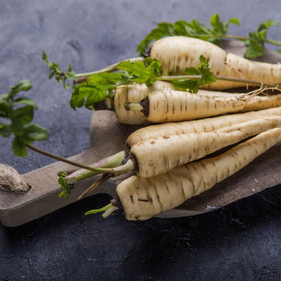 Hollow Crown Parsnip Seeds, NON-GMO, Variety Size Packets, FREE SHIPPING - Image 2 of 2