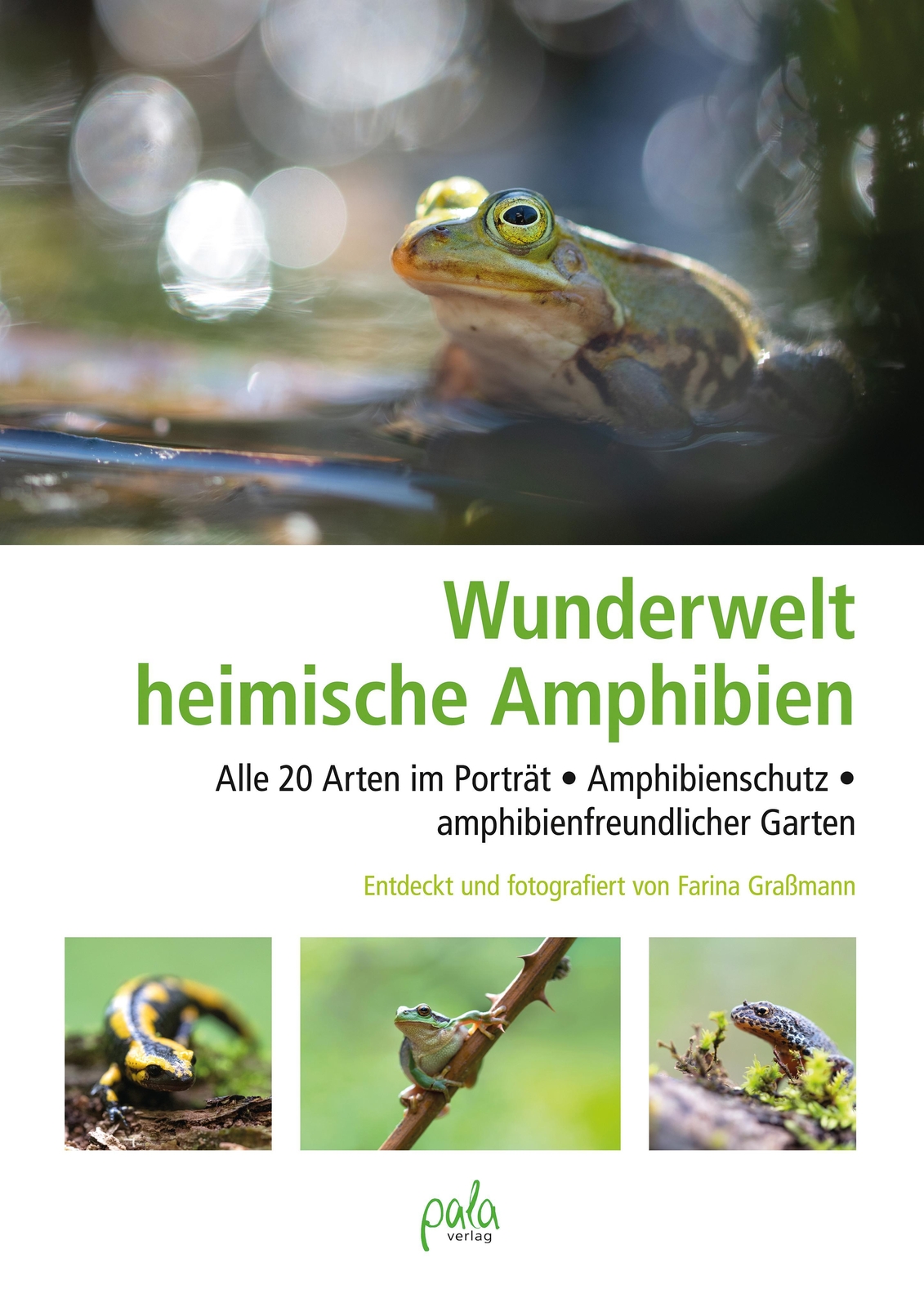 Thumbnail - Wunderwelt Heimische Amphibien Farina Graßmann