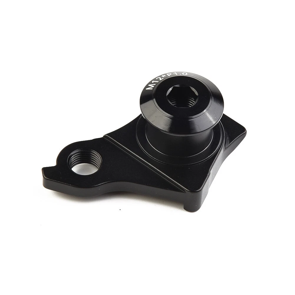 Replacing rear 2024 derailleur hanger