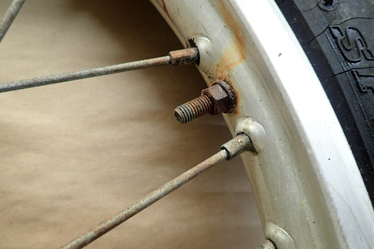 Picture 12 of 12