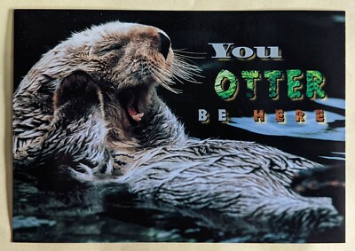 Postcard U.S.A.: Fauna. Otter ( Lutra Lutra)