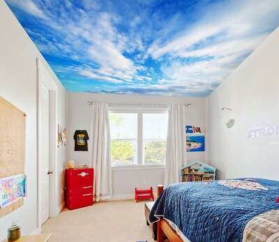 3D High Cloud 1251 WallPaper Murals Wall Print Decal Wall Deco AJ WALLPAPER