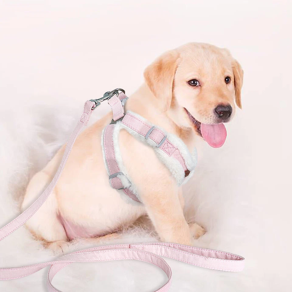 Hundegeschirr Kleine Hunde Chihuahua XXS Katzengeschirr Kitten Winter Fleece - Bild 3 von 4