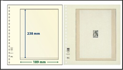 LINDNER DT802107P Blank Pages 18-Ring Mechanism, 2x 1 Pocket 238x189mm
