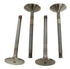 Allmakes 4x4Land Rover Defender & Discovery 200Tdi Inlet Valve Set ERR1157 x 4