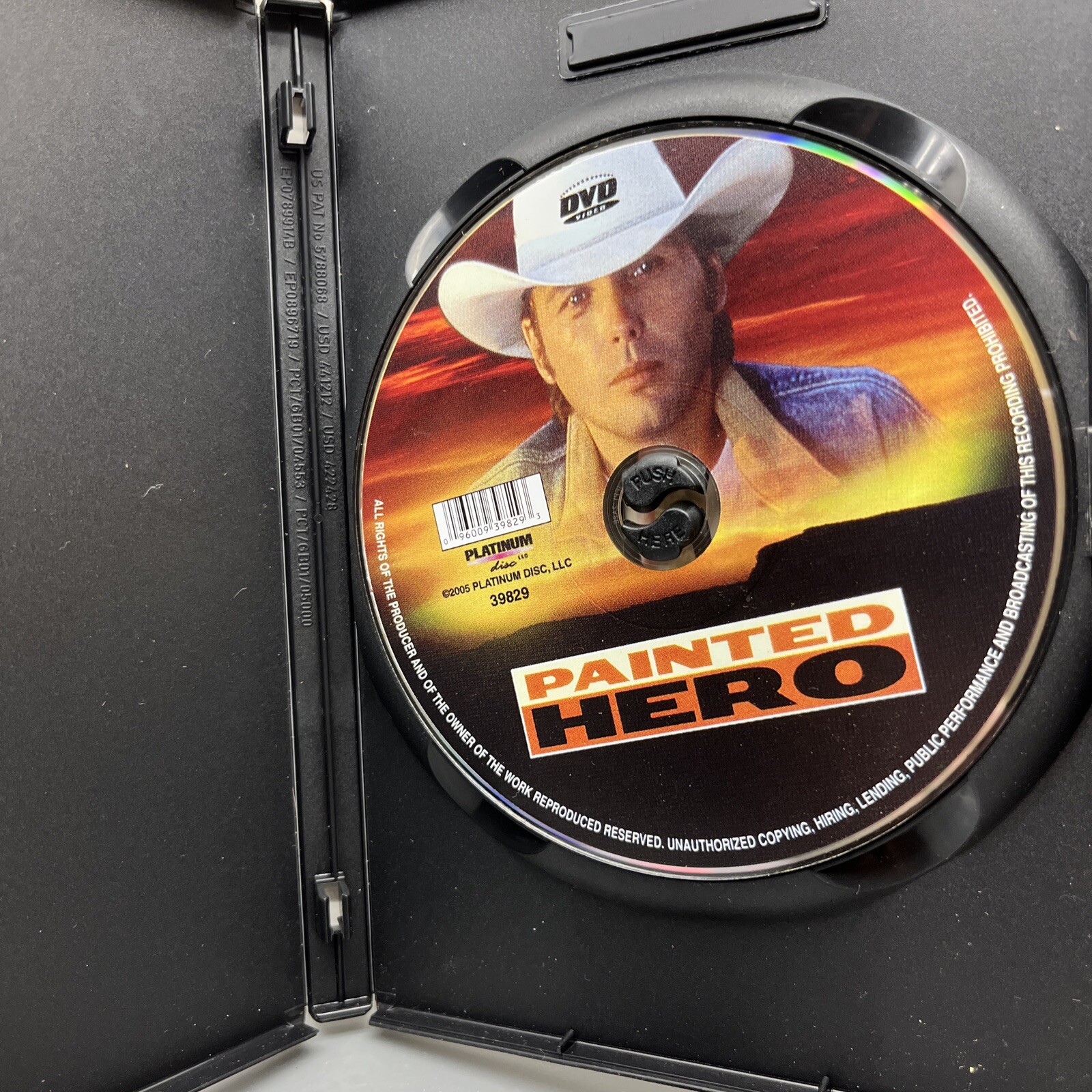 Painted Hero (DVD, 2006) 96009398293 eBay