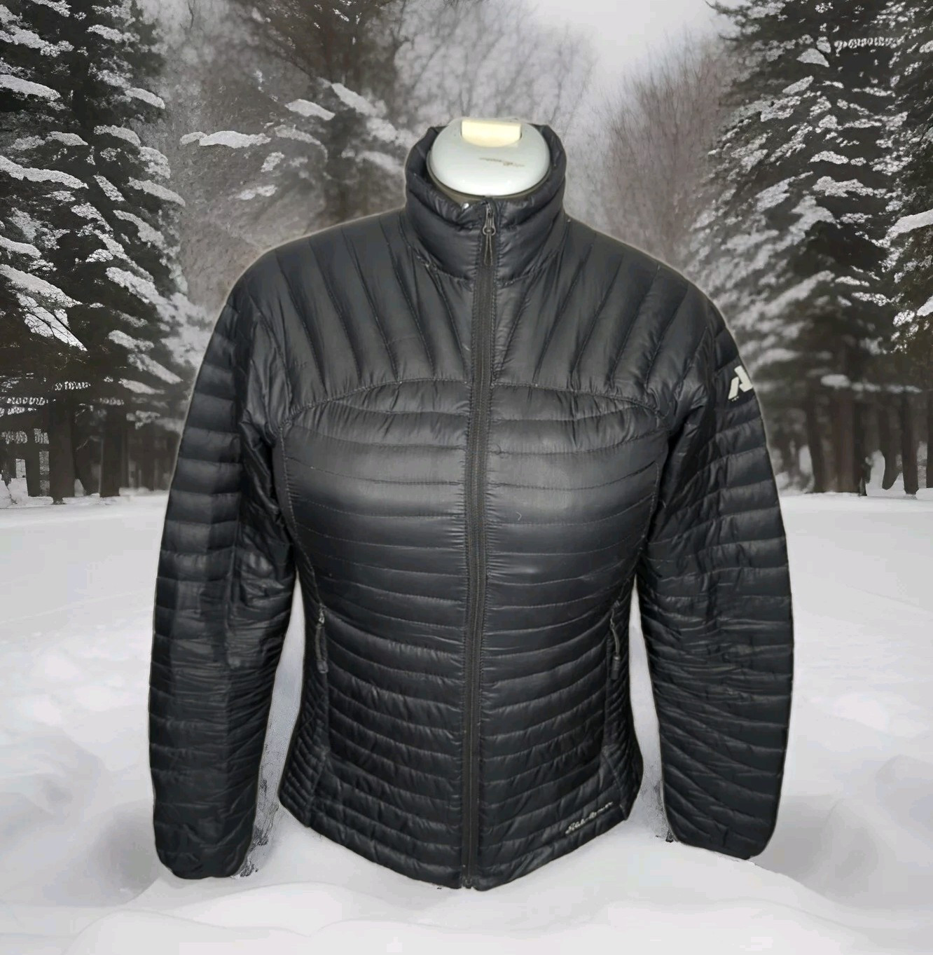 Eddie Bauer First Ascent Microtherm Storm Down Women Small Puffer