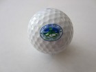 AT&T Pebble Beach National Pro-AM Breast Cancer Ribbon Logo Golf Ball Pinnacle — photo 1