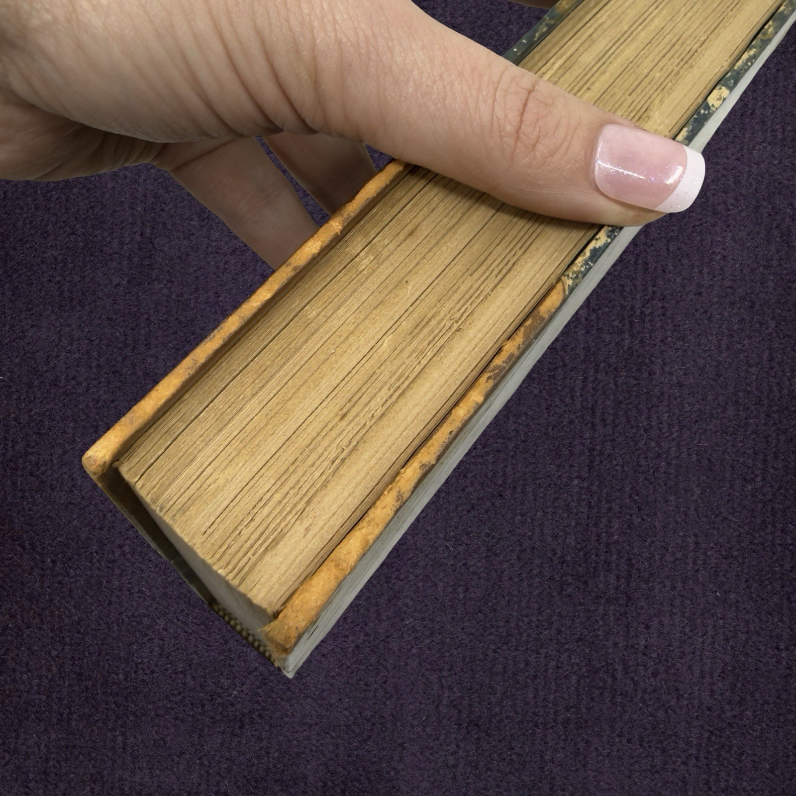 1873 -74 ✨ FIRST EDITION - Tudors - History of Two Queens William H Dixon 4VOLS