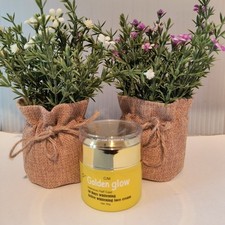 Golden Glow Intensive HC Active Brightening FACE CREAM 60G X 1