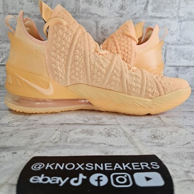 Nike LeBron 18 Melon Tint Sisterhood Basketball DB8148 801 Men's