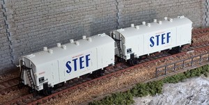 Wagon EVS Champigneulles LS MODELS-30689 - UTM Modélisme Ferroviaire