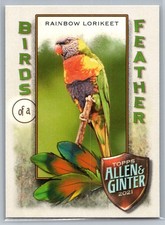 2021 Topps Allen & Ginter #BOF-10 Rainbow Lorikeet Birds of a Feather *ZM