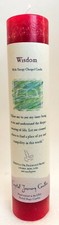 WISDOM Crystal Journey Reiki Charged Candle Herbal Magic Pillar - Free Ship