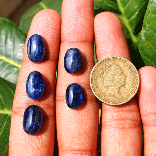 5 Pcs Natural Blue Kyanite Top Quality 12mm-13.6mm Oval Cabochon Loose Gemstones - Picture 8 of 11
