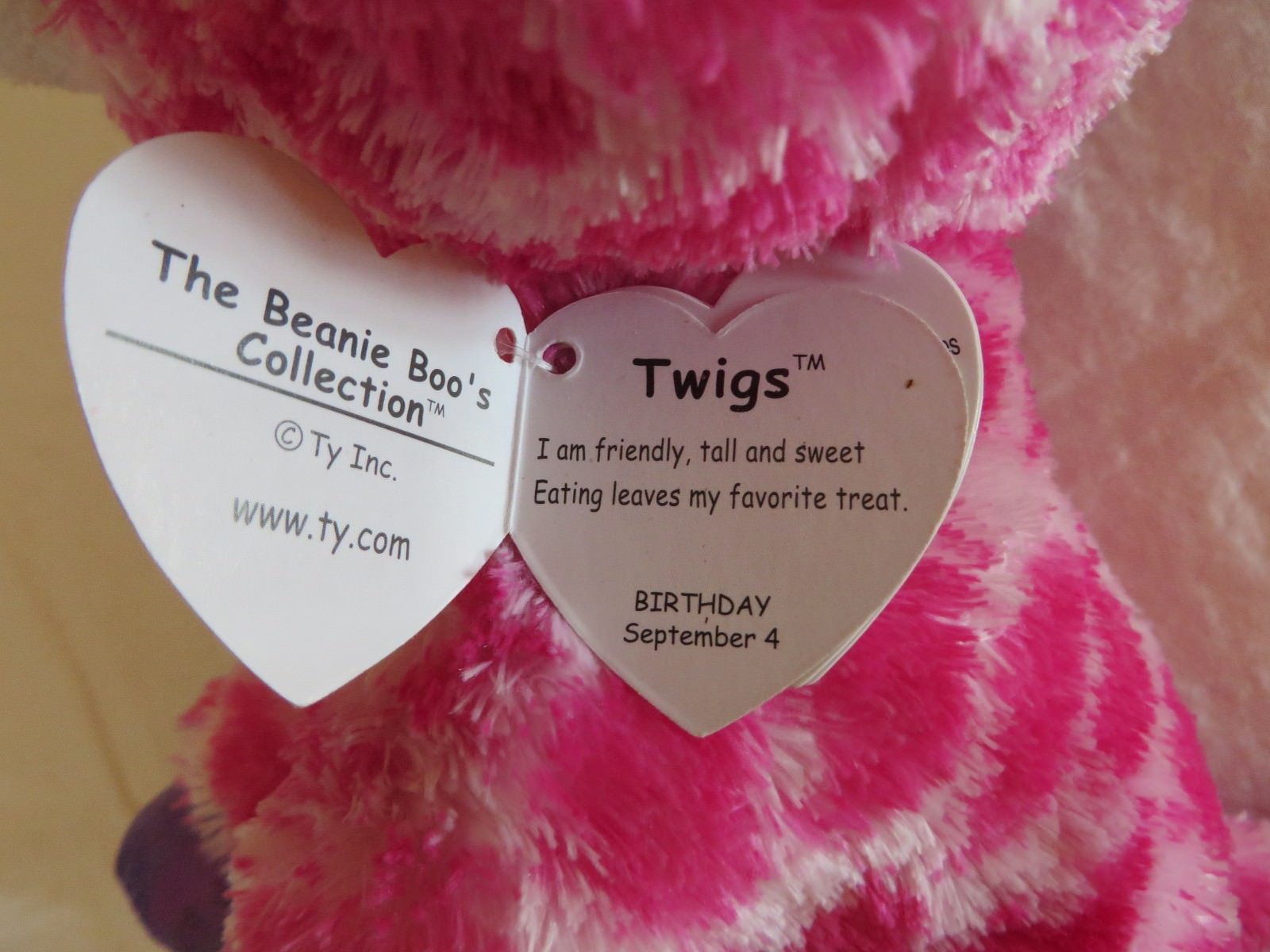 twigs beanie boo birthday