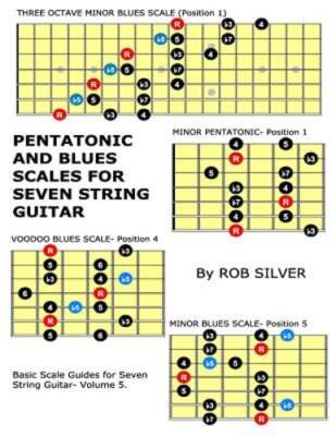 Pentatonic and Blues Scales for Seven String Guitar by Rob Silver: New