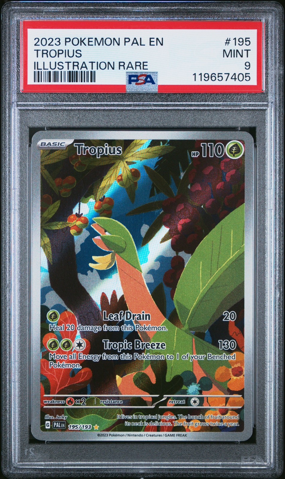 2023 POKEMON PAL EN-PALDEA EVOLVED ILLUSTRATION RARE #195 TROPIUS PSA 9
