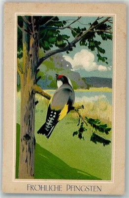 10739084 - Passepartout Stieglitz Pfingsten Vogel