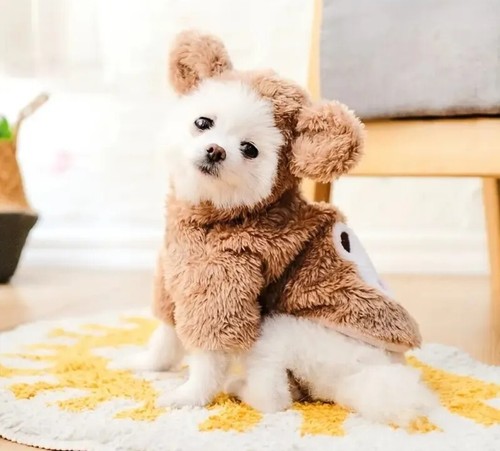 Cartoon Bear Embroidered Hooded Pet Hoodie, Teddy Bear Costume Size Medium - Picture 2 of 6