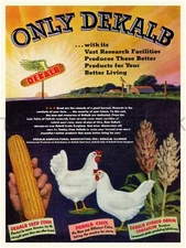 Dekalb Seed "Only Dekalb" Ad 9" x 12" Metal Sign