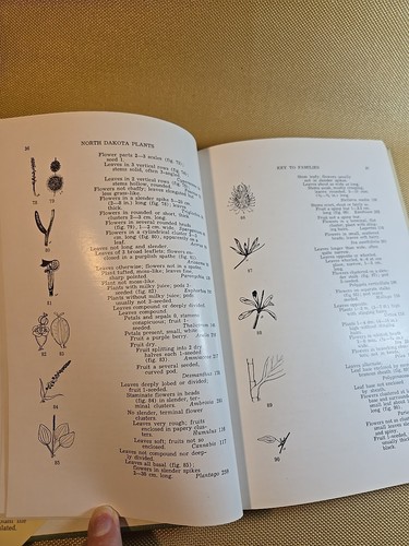 Handbook of North Dakota Plants by O. A. Stevens 1950 Regional Studies 1st Ed - Picture 10 of 13