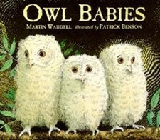 Owl Babies by Waddell, Martin Board book Book The Cheap Fast Free Post