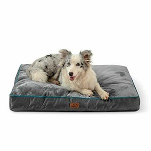 dog bed with removable washable cover